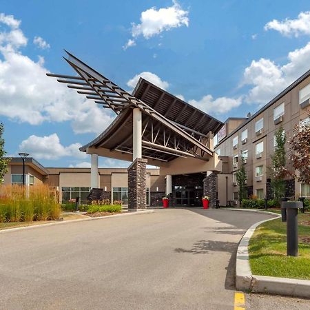 Best Western Plus Edmonton Airport Hotel Leduc Ngoại thất bức ảnh